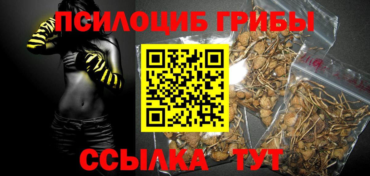 Галлюциногенные грибы мицелий  Вход с VPN  наркошоп  Губкин 